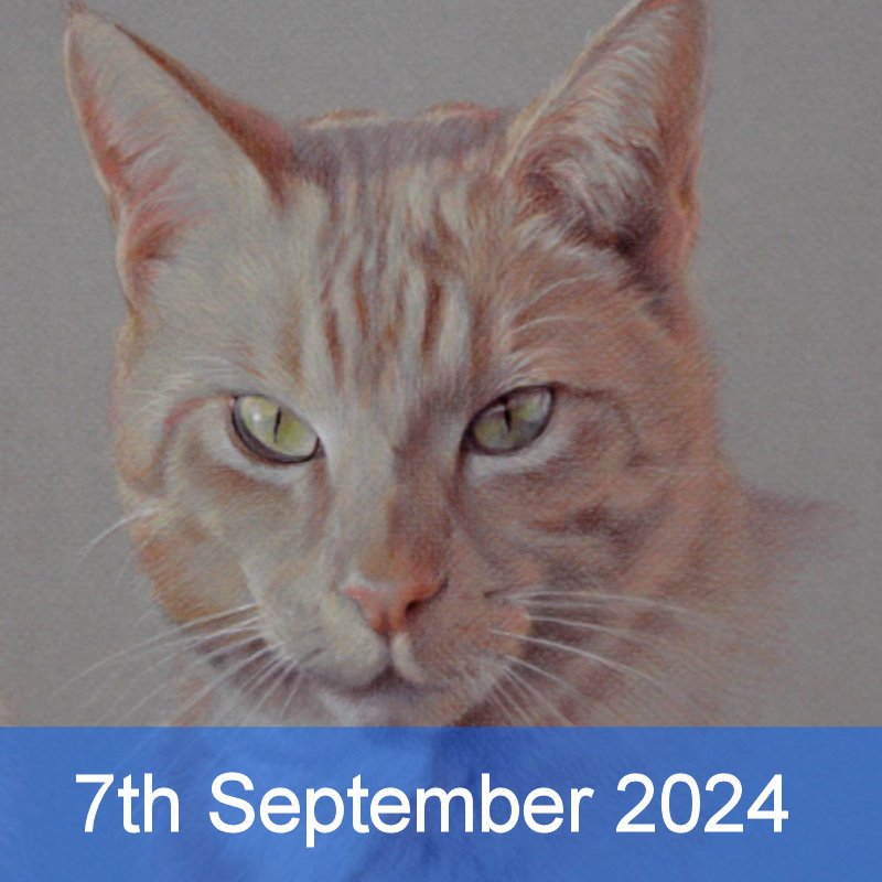 Pet Portraits In Coloured Pencil with David Sandell (Cambridge)