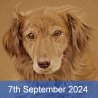 Pet Portraits In Coloured Pencil with David Sandell (Cambridge)