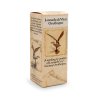 Leonardo da Vinci Mini Ornithopter