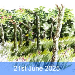 Sketching Landscapes with...