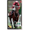 ITV Racing diary 2025 - slim 2 weeks to view