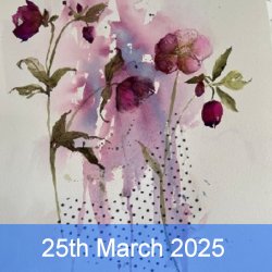Spring Flowers in...