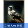 Birds and Natural Forms in Oil Paint with Annapurna Austin (Cambridge)