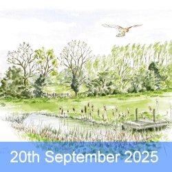 Birds in Landscapes in pen...
