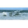 Seascapes in Oils With David Sandell (Cambridge)