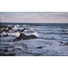 Seascapes in Oils With David Sandell (Cambridge)