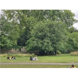 Watercolour Landscape painting: En Plein Air with Andrew Dockerill (Cambridge)