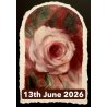 Botanicals in Oil Paint with Annapurna Austin  (Cambridge)