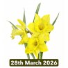 Spring Flowers In Coloured Pencil With Janie Pirie (Cambridge)