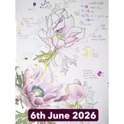Botanical Illustration in Colour Pencil and Ink With Vicky Hallam (Cambridge)