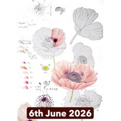 Botanical Illustration in Colour Pencil and Ink With Vicky Hallam (Cambridge)
