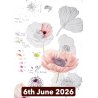 Botanical Illustration in Colour Pencil and Ink With Vicky Hallam (Cambridge)