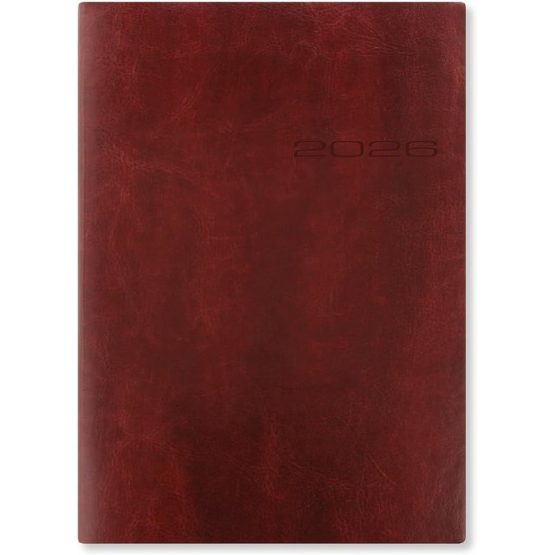 Lecassa A5 Day to a Page Diary with Appointments 2026 - Multilanguage