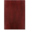 Lecassa A5 Day to a Page Diary with Appointments 2026 - Multilanguage