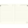 Lecassa A5 Day to a Page Diary with Appointments 2026 - Multilanguage