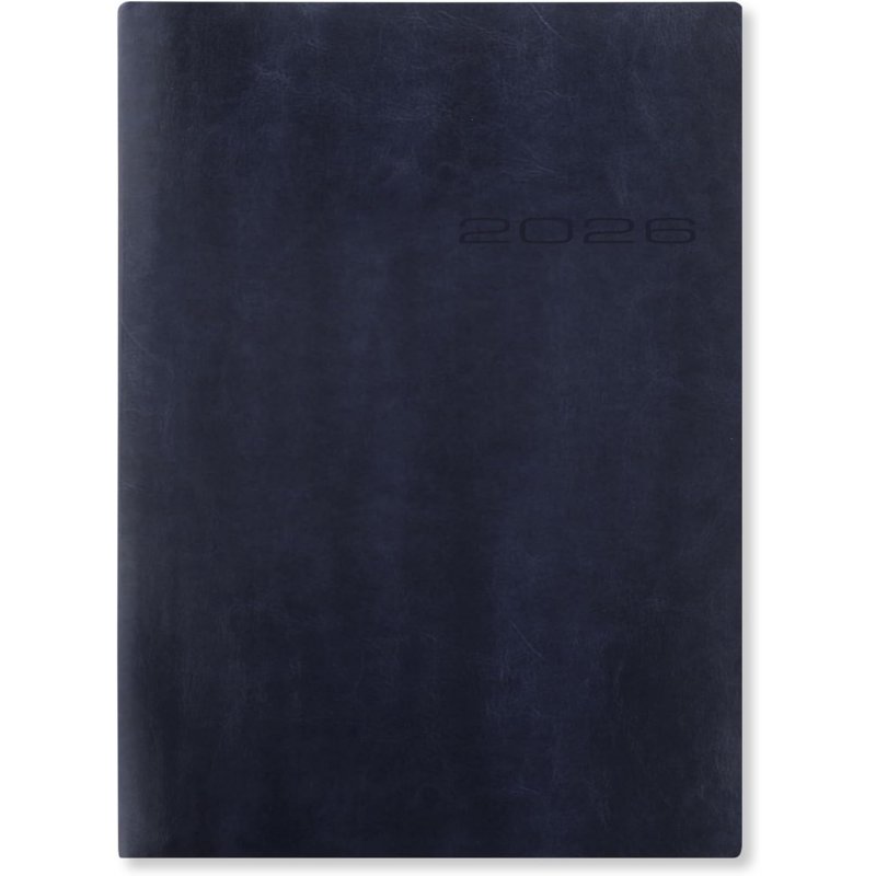 Lecassa A5 Day to a Page Diary with Appointments 2026 - Multilanguage