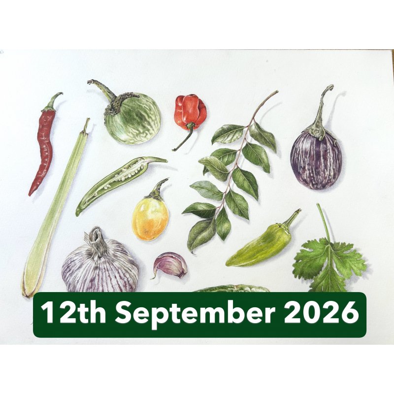 Vegetables and Spices in Coloured Pencil With Janie Pirie (Cambridge)