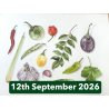 Vegetables and Spices in Coloured Pencil With Janie Pirie (Cambridge)
