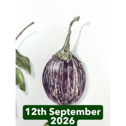 Vegetables and Spices in Coloured Pencil With Janie Pirie (Cambridge)