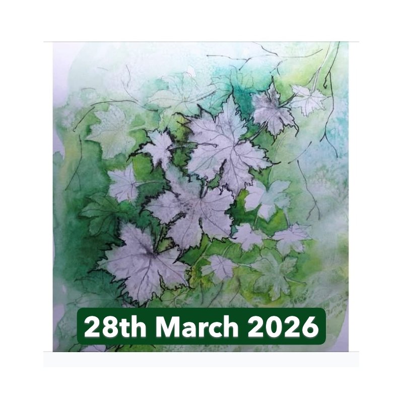 Introduction to Watercolour With Mo Childs (Ely)