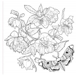 Goth Garden Artist's Colouring Book