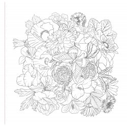Wildflowers Adult Coloring Book