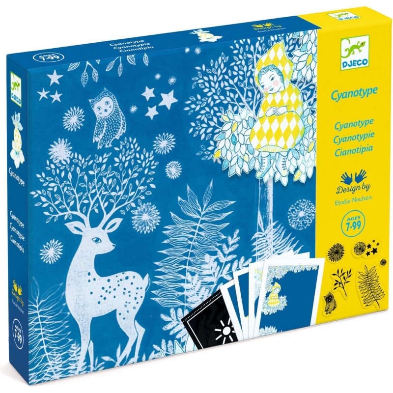 Djeco Cyanotype - By the Light of the Moon