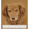 Pet Portraits in Coloured Pencil With David Sandell (Cambridge)