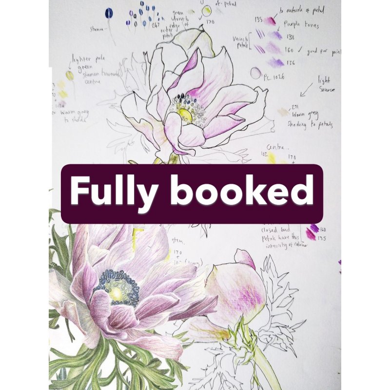 Botanical Illustration in Colour Pencil and Ink With Vicky Hallam (Cambridge)