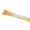 Legami Bear Sweet Bear Ruler