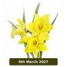 Spring Flowers In Coloured Pencil With Janie Pirie (Cambridge)