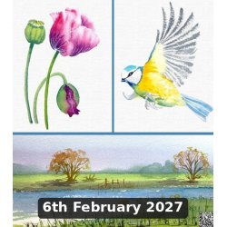 Watercolour for Complete Beginners with Denise Schoenberg (Cambridge)