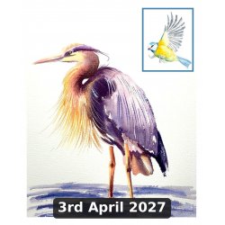 Painting Birds in...