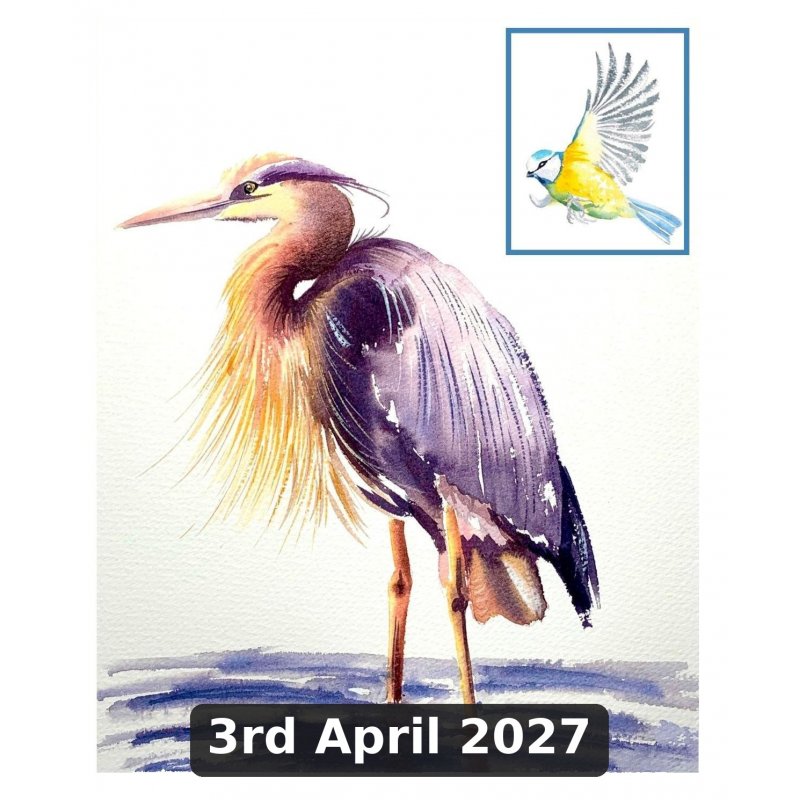 Painting Birds in Watercolour With Denise Schoenberg (Cambridge)
