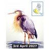 Painting Birds in Watercolour With Denise Schoenberg (Cambridge)