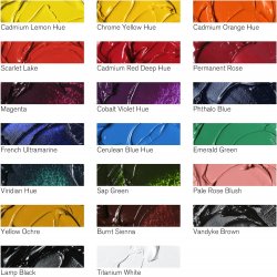 Winsor And Newton Winton Oil Paint 20x12ml