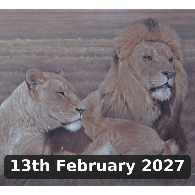 Animal and Pet Portraits in Coloured Pencil With David Sandell (Cambridge)