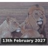 Animal and Pet Portraits in Coloured Pencil With David Sandell (Cambridge)