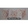 Animal and Pet Portraits in Coloured Pencil With David Sandell (Cambridge)