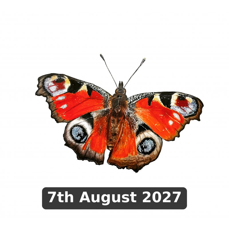 Butterflies In Soft Pastels With Matthew Peace (Cambridge)