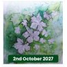 Autumn & Winter In Watercolour With Mo Childs (Cambridge)