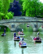 Cambridge Art Workshops: Unleash Your Inner Artist