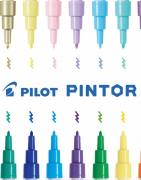Pilot Pintor