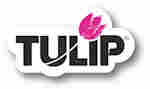 Tulip 3D Fabric Paint